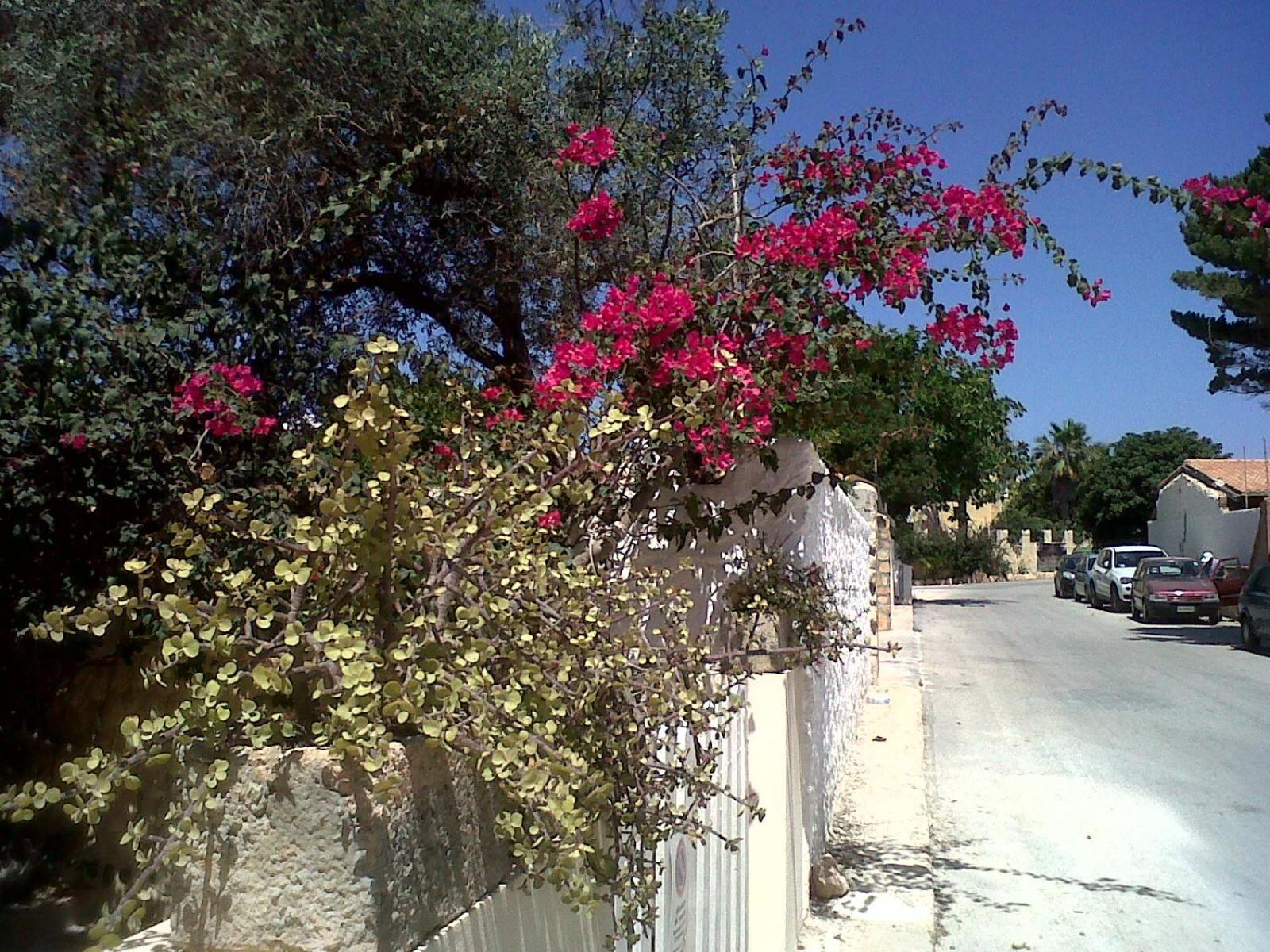 Appartamento Guitgia Lampedusa Exterior photo